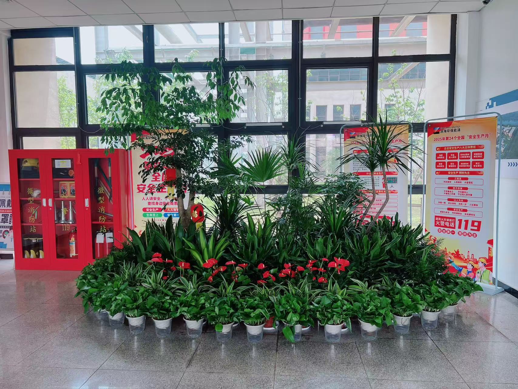 宁波北仑绿植租赁，优质服务开启绿色好时光